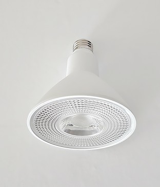 헤이즐 식물조명 성장등 재배등 식물생장 파38 전구