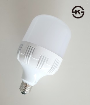 LED 보안등 전구 램프 [30W]