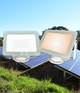 LED 노터스 노출 투광기 12V 30W